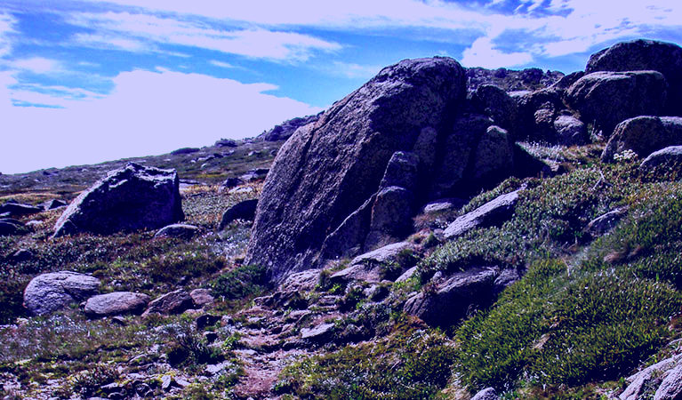 SubjectCoach | Mount Stillwell walk