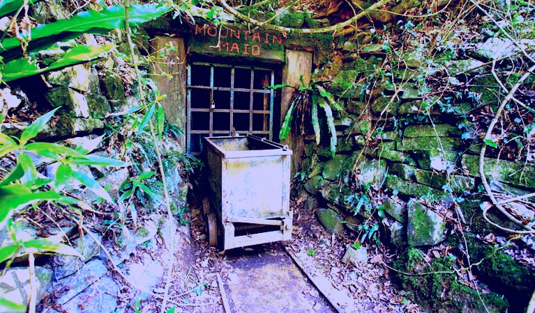 SubjectCoach | Mountain Maid gold mine