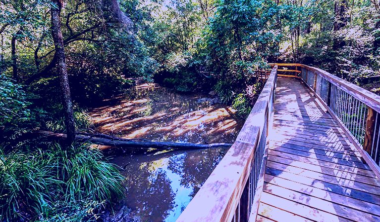 SubjectCoach | Ms Kellys walking track