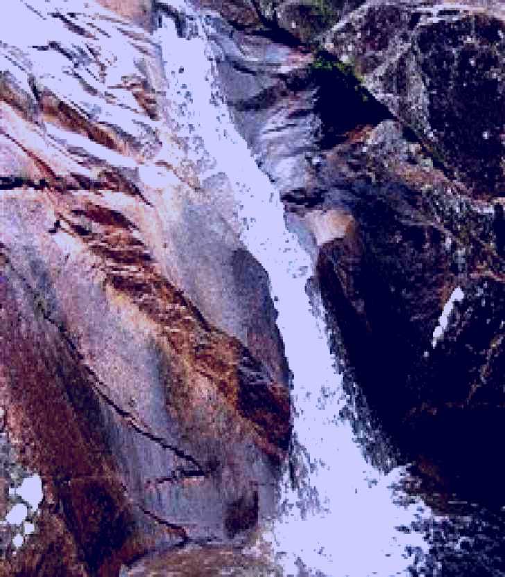 SubjectCoach | Mumbulla Creek Falls and Picnic Area