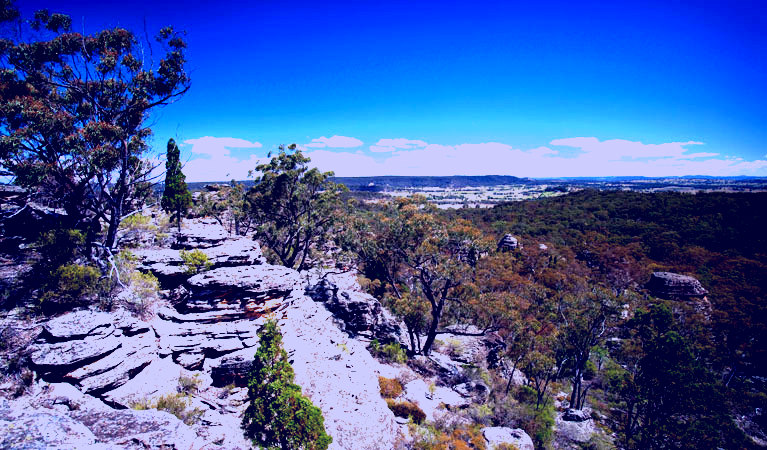 SubjectCoach | Munghorn Gap Nature Reserve