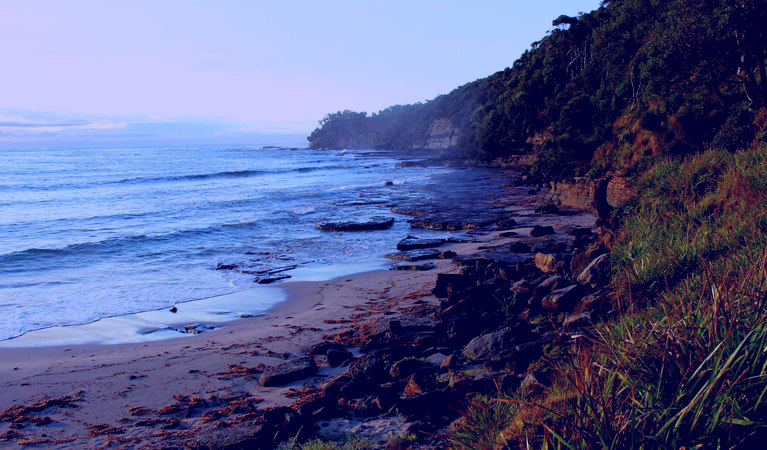 SubjectCoach | Murramarang National Park