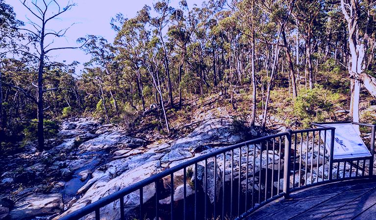 SubjectCoach | Myanba Gorge walking track