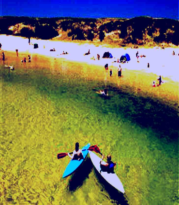 SubjectCoach | Narrabeen Beach