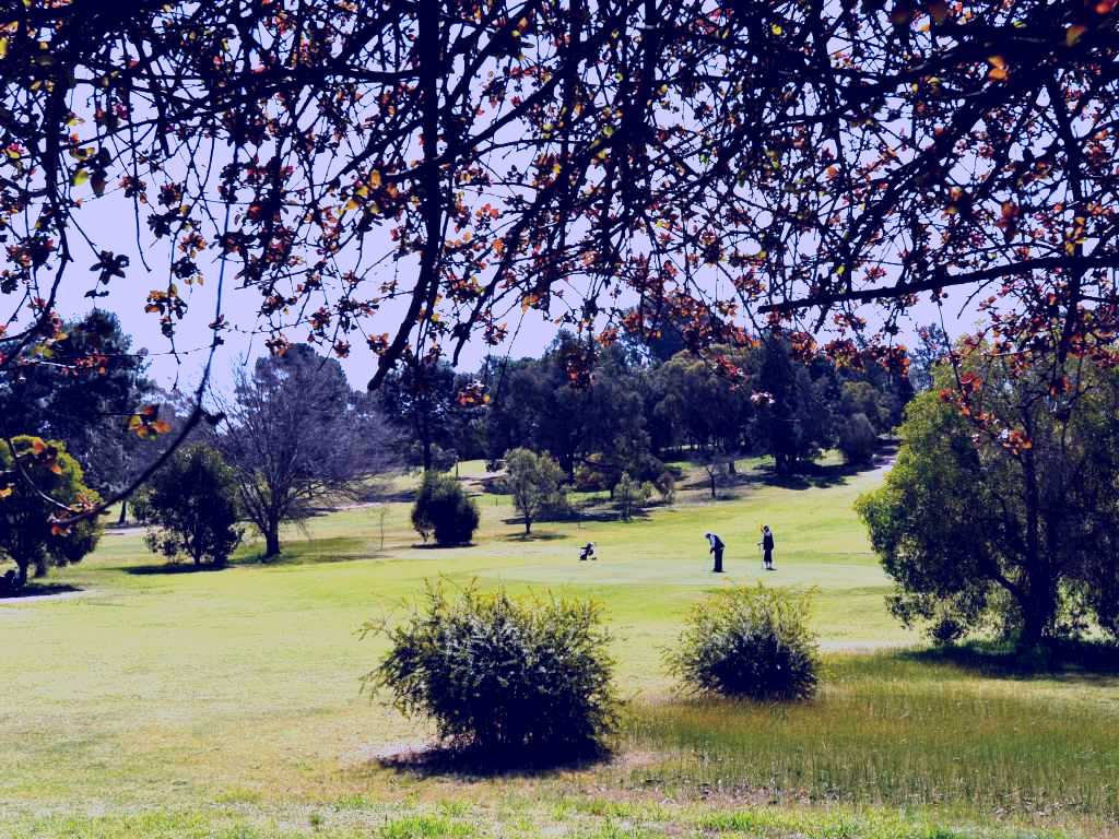 SubjectCoach | Narrandera Golf Course