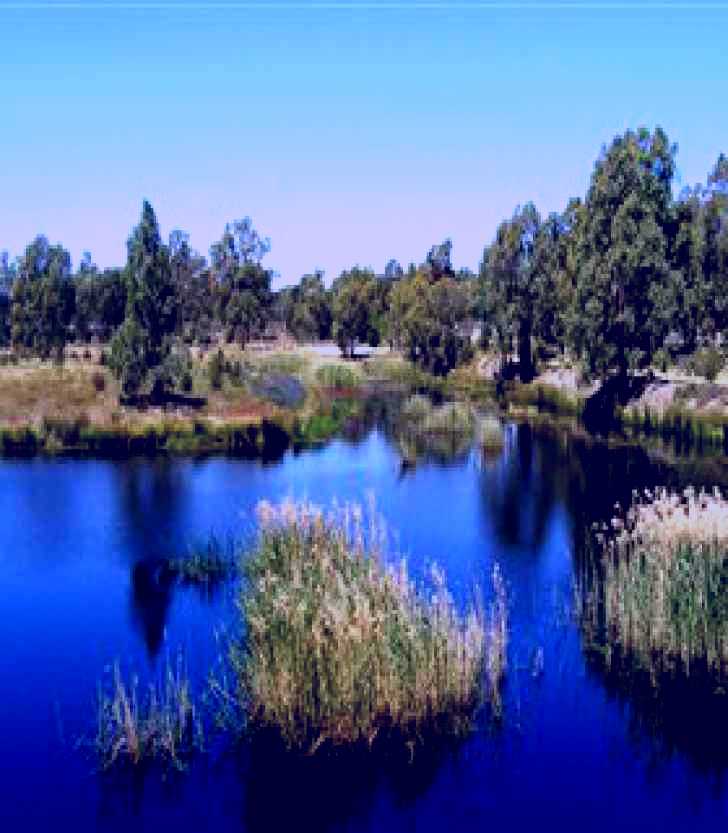 SubjectCoach | Narrandera Wetlands