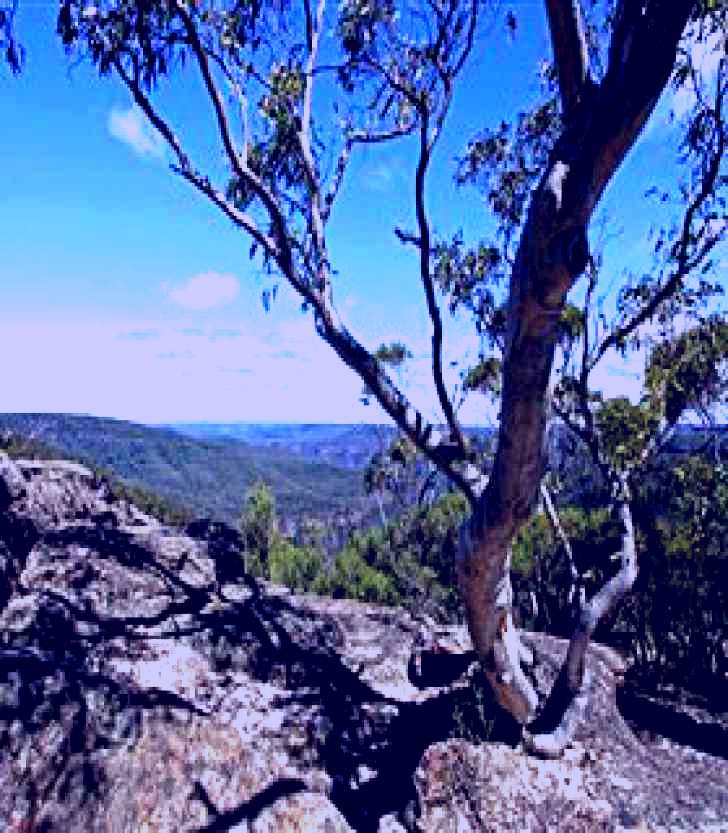 SubjectCoach | Nattai Gorge Lookout