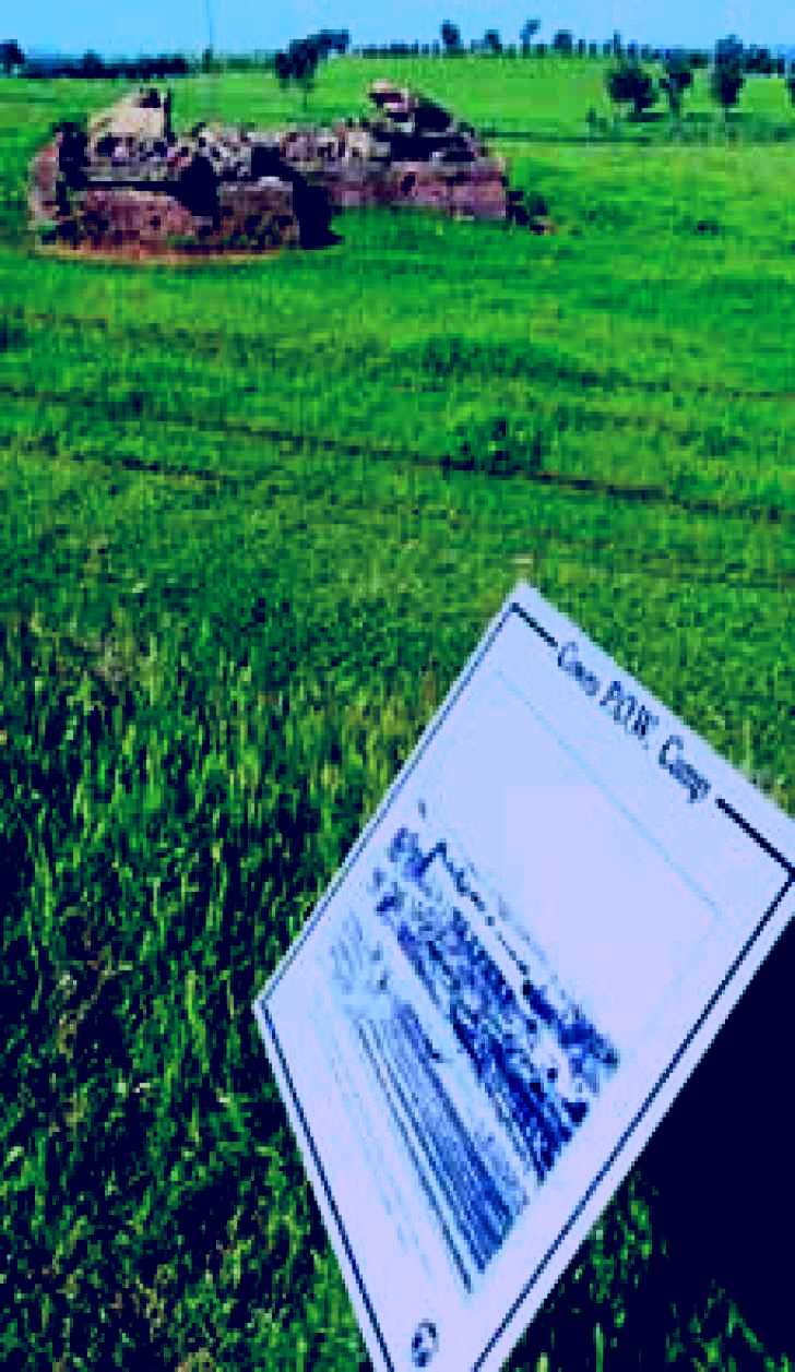 SubjectCoach | Prisoner Of War Camp Site Image 1