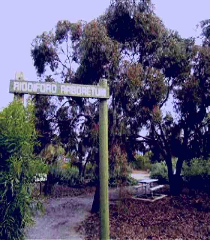 SubjectCoach | Riddiford Arboretum