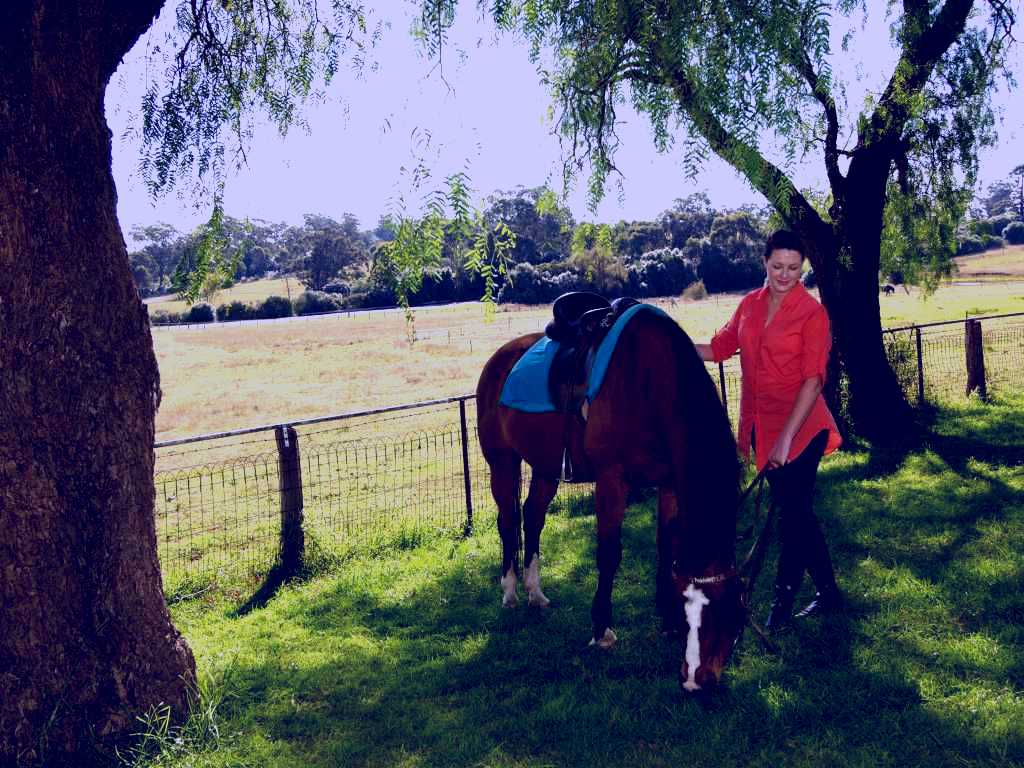 SubjectCoach | Sugarloaf Horse Centre