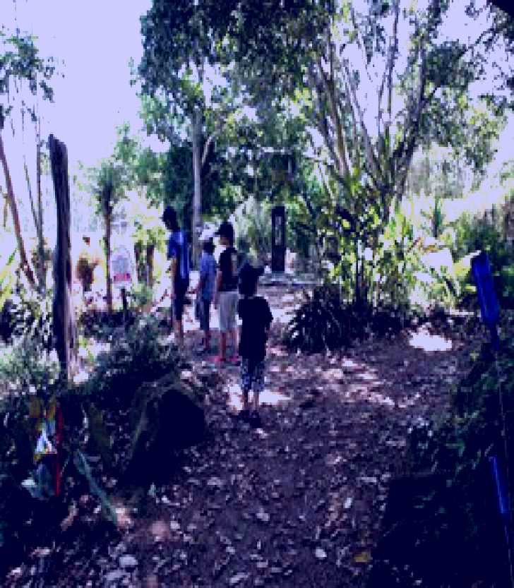SubjectCoach | Thursday Plantation