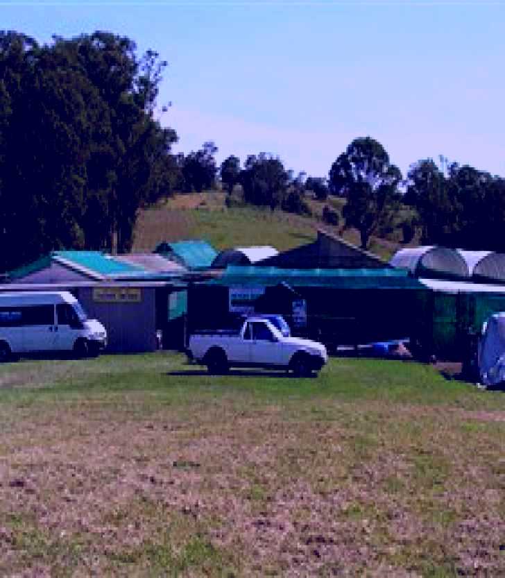 SubjectCoach | Tinonee Orchid Nursery