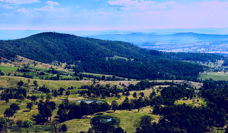 SubjectCoach | Tooloom lookout