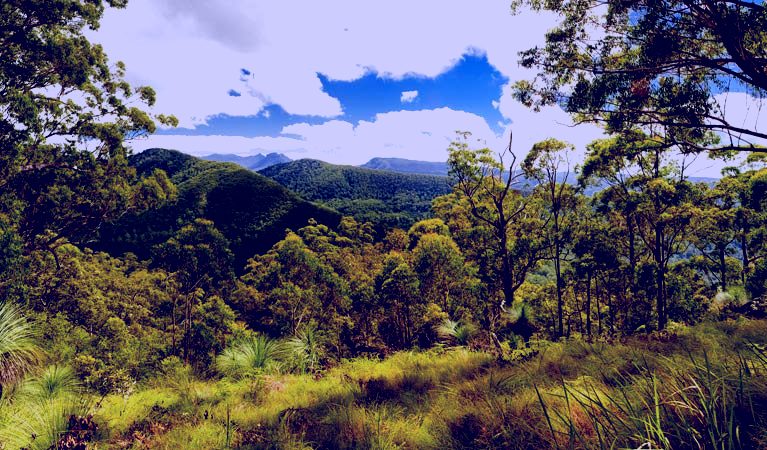 SubjectCoach | Toonumbar National Park