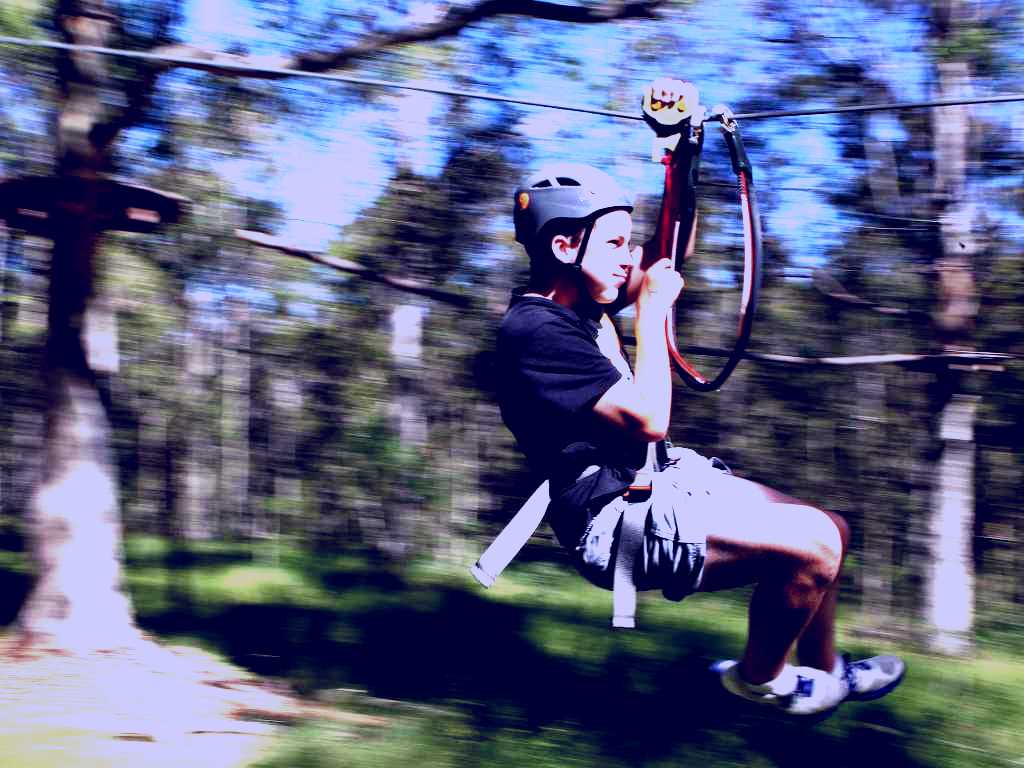 SubjectCoach | TreeTop Adventure Park Sydney