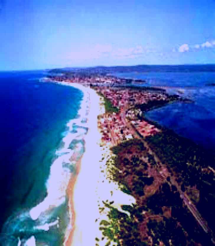 SubjectCoach | Tuggerah Beach