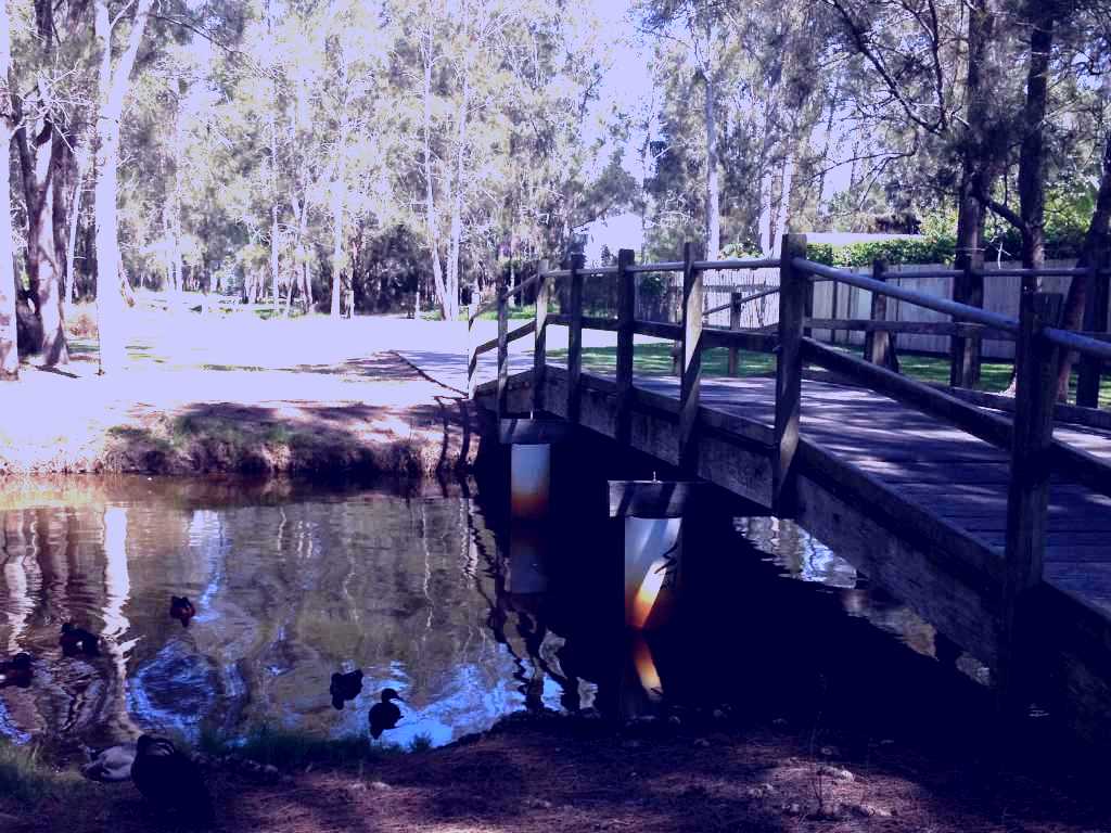 SubjectCoach | Tuggerah Lakes Cycleway