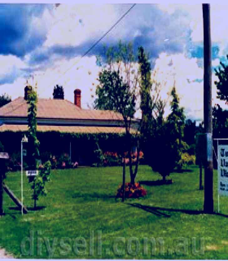 SubjectCoach | Tumut Valley Violets