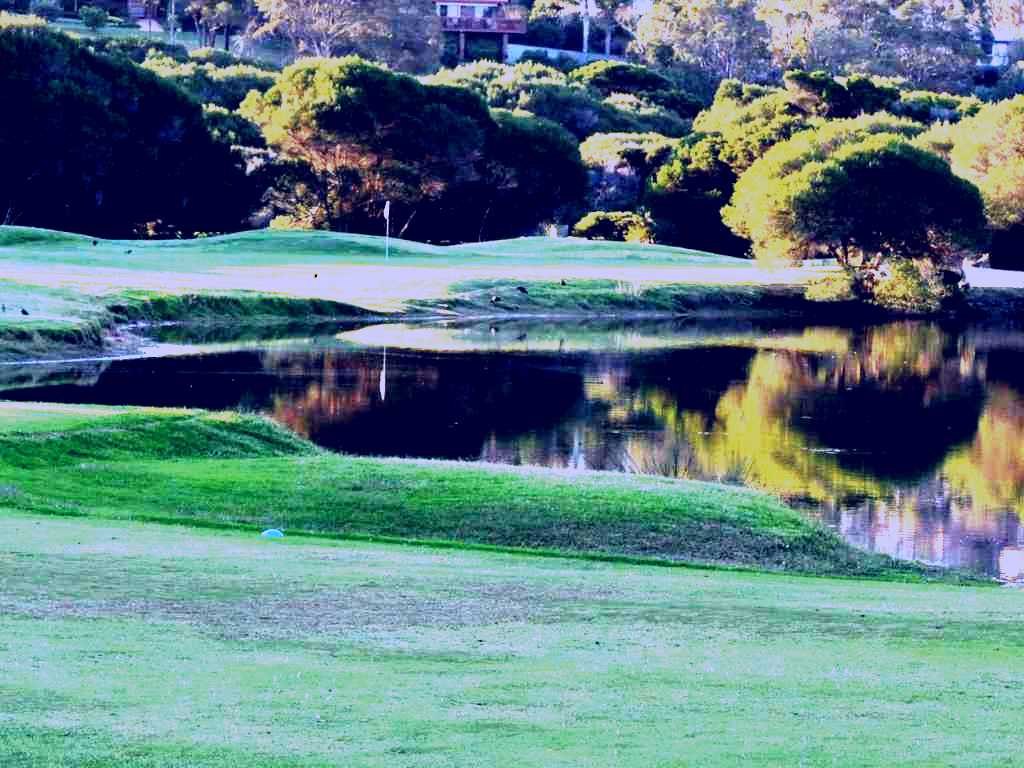 SubjectCoach | Tura Beach Country Club