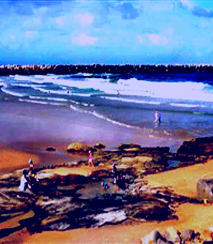 SubjectCoach | Turners Beach
