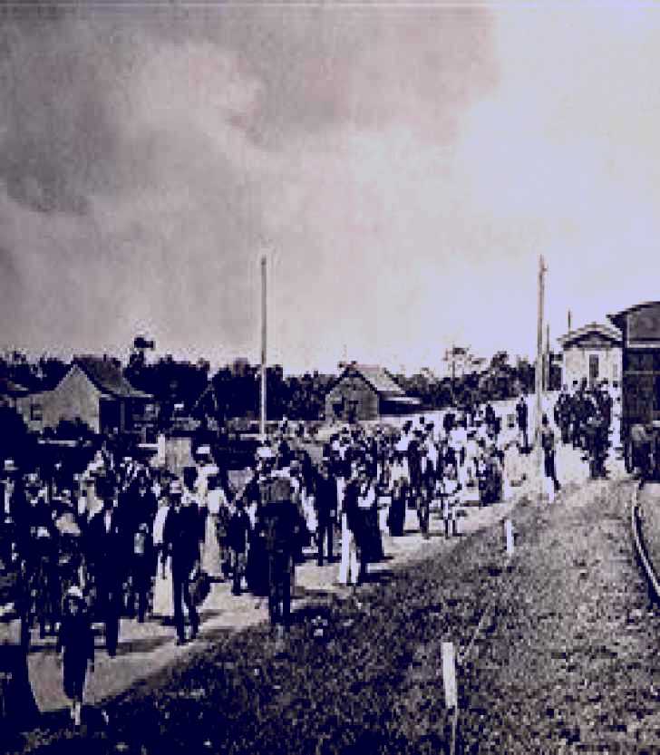 SubjectCoach | Tweed Historical Society Inc