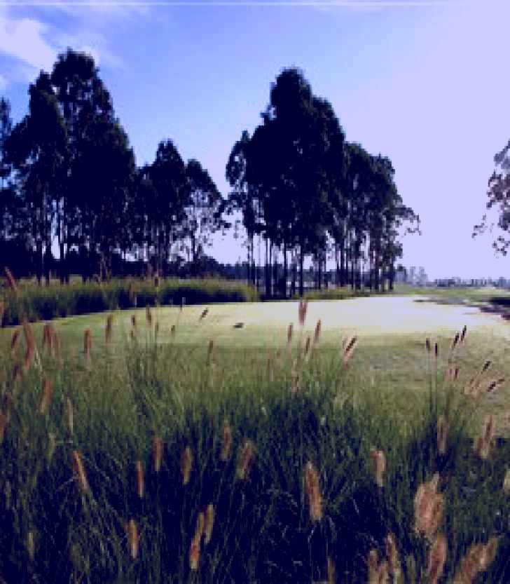 SubjectCoach | Twin Creeks Golf and Country Club