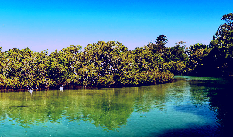 SubjectCoach | Tyagarah Nature Reserve