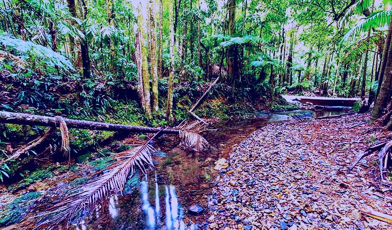 SubjectCoach | Ulidarra National Park