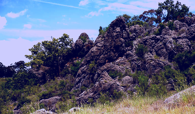 SubjectCoach | Verandah Cave