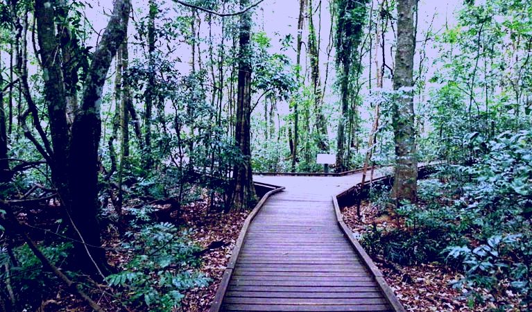 SubjectCoach | Victoria Park boardwalk