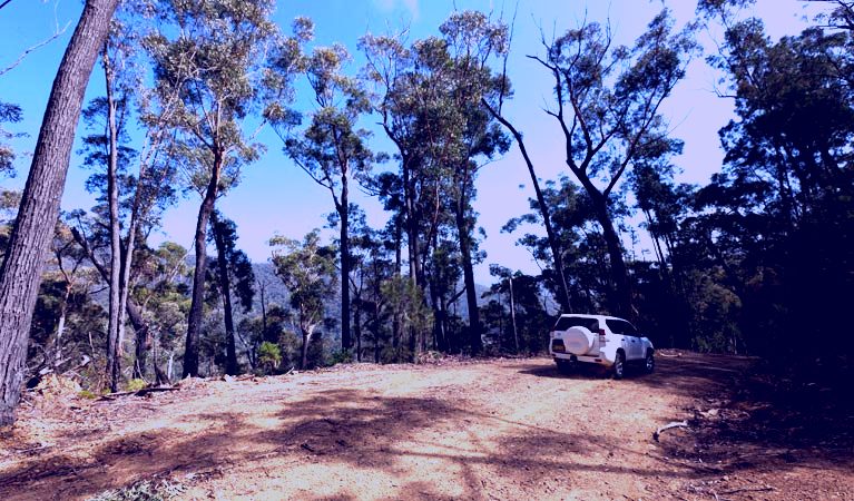 SubjectCoach | Wadbilliga Road drive