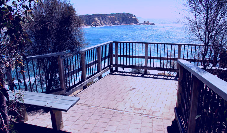 SubjectCoach | Wajurda Point walking track