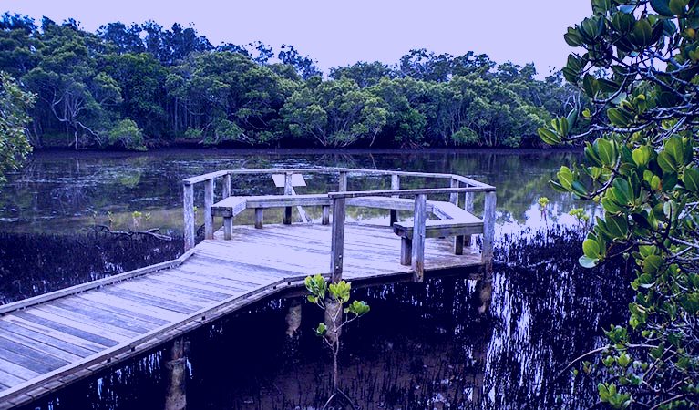 SubjectCoach | Walk on Water walking track
