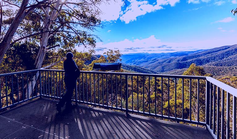 SubjectCoach | Wallace Creek lookout