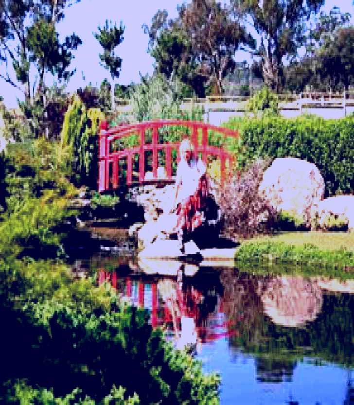 SubjectCoach | Wellington Osawano Japanese Gardens