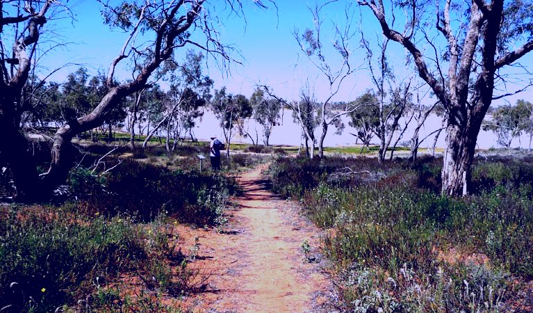 SubjectCoach | Wells walk