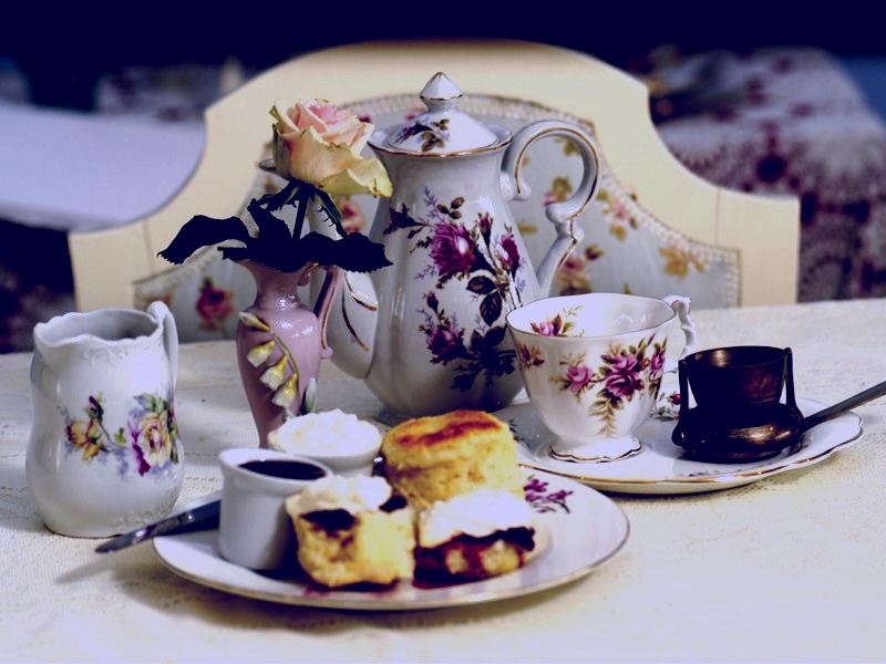 SubjectCoach | Werai Teahouse and Nursery