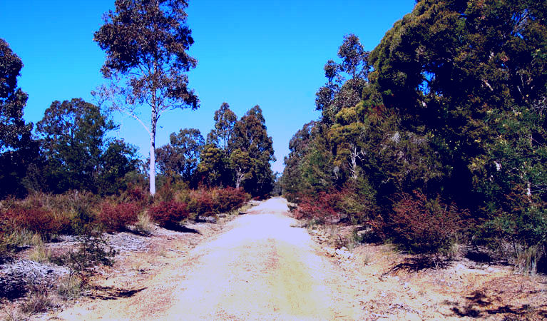 SubjectCoach | Werakata National Park