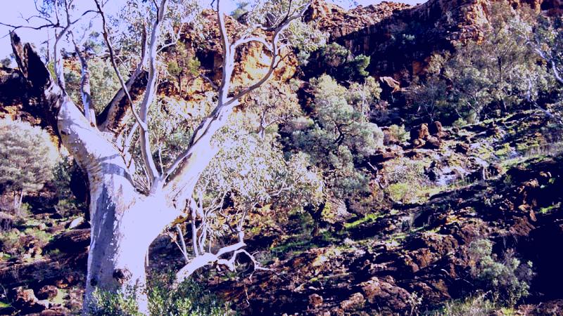 SubjectCoach | Western Ridge walk