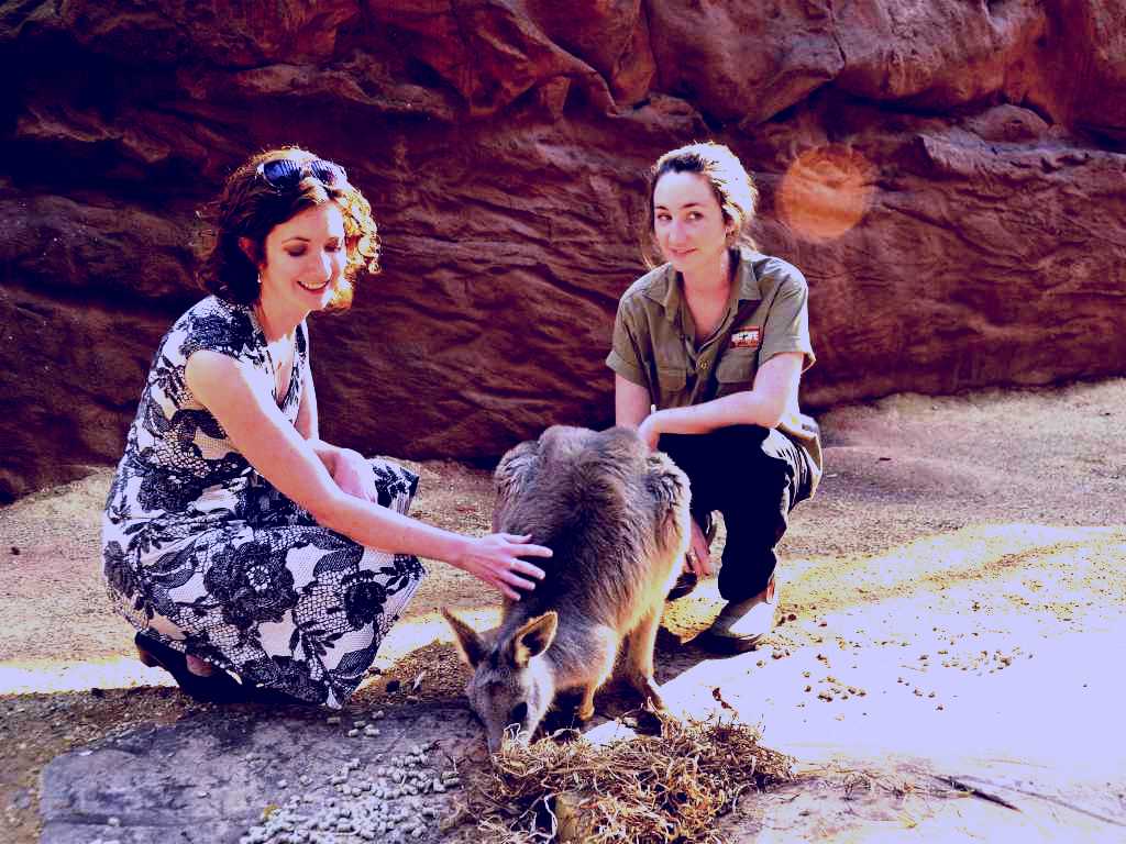 SubjectCoach | WILD LIFE Sydney Zoo