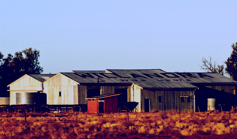 SubjectCoach | Willandra shearing precinct