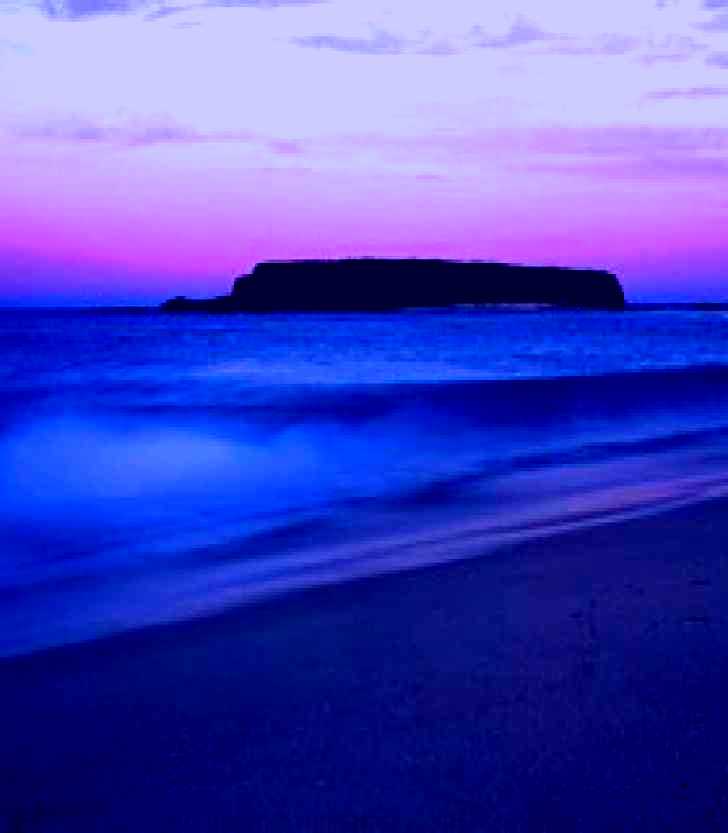 SubjectCoach | Windang Beach
