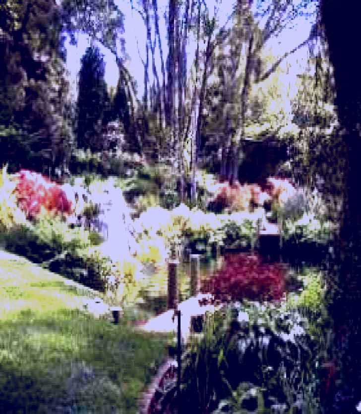 SubjectCoach | Windyridge Garden Mount Wilson