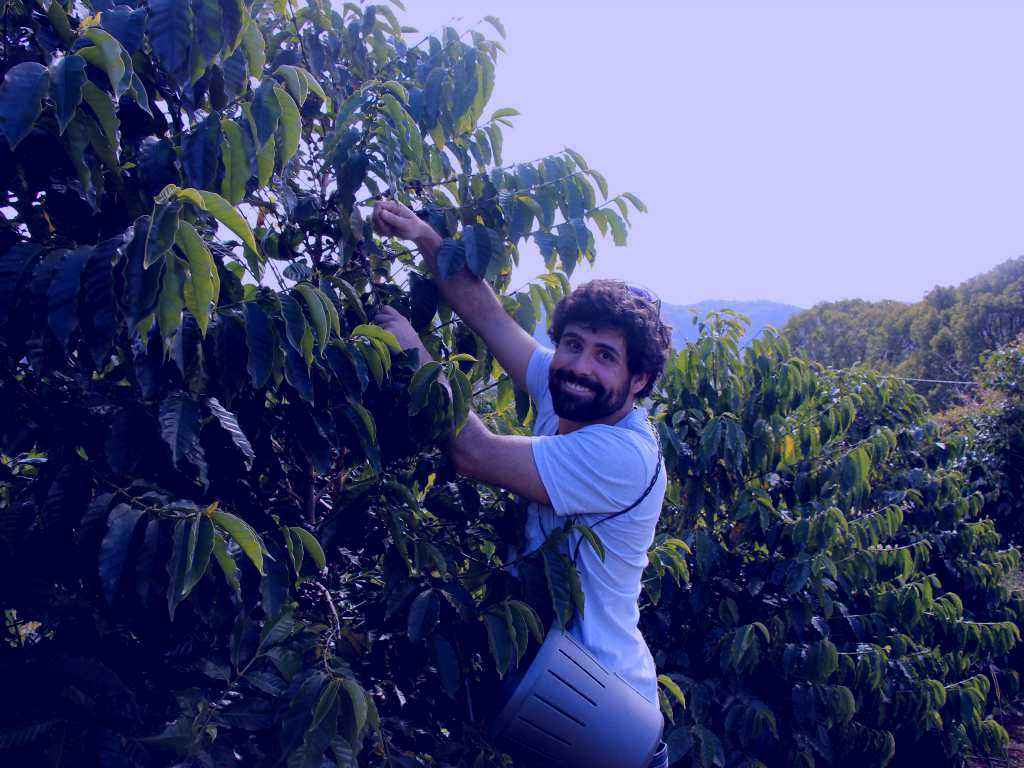 SubjectCoach | Wirui Estate Coffee Tours