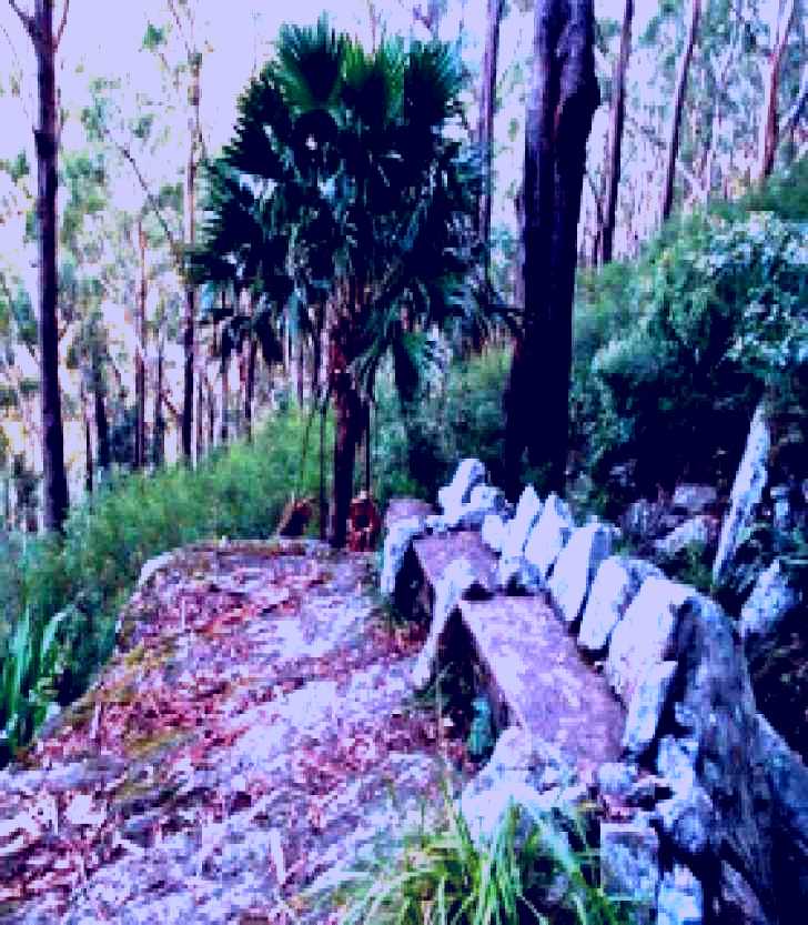 SubjectCoach | Wodi Wodi Walking Track