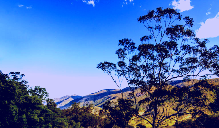 SubjectCoach | Woko National Park