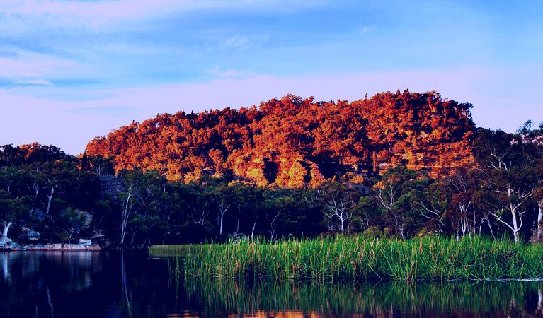 SubjectCoach | Wollemi National Park