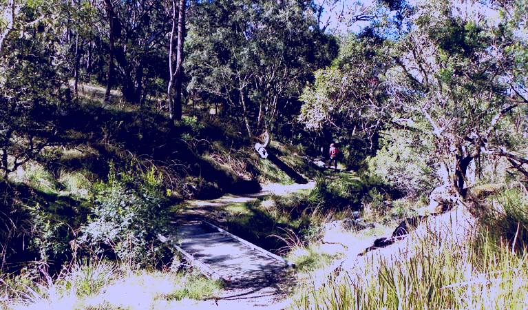 SubjectCoach | Wollomombi walking track