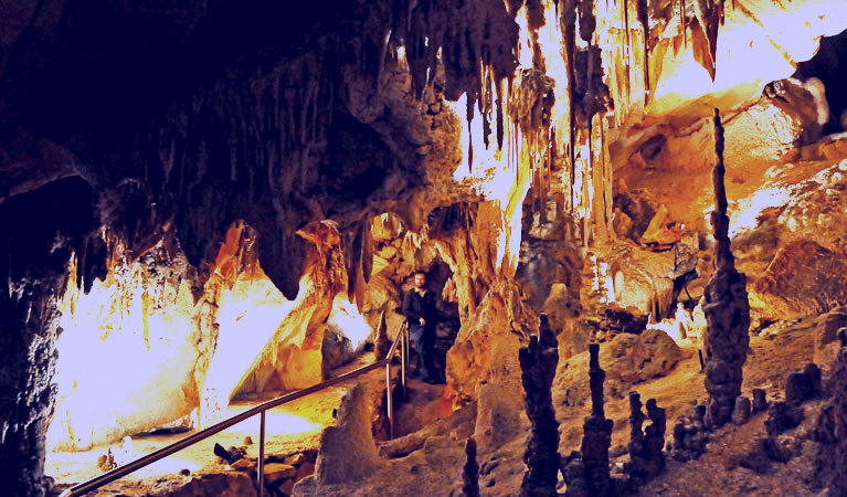 SubjectCoach | Wollondilly Cave