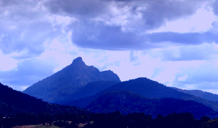 SubjectCoach | Wollumbin National Park
